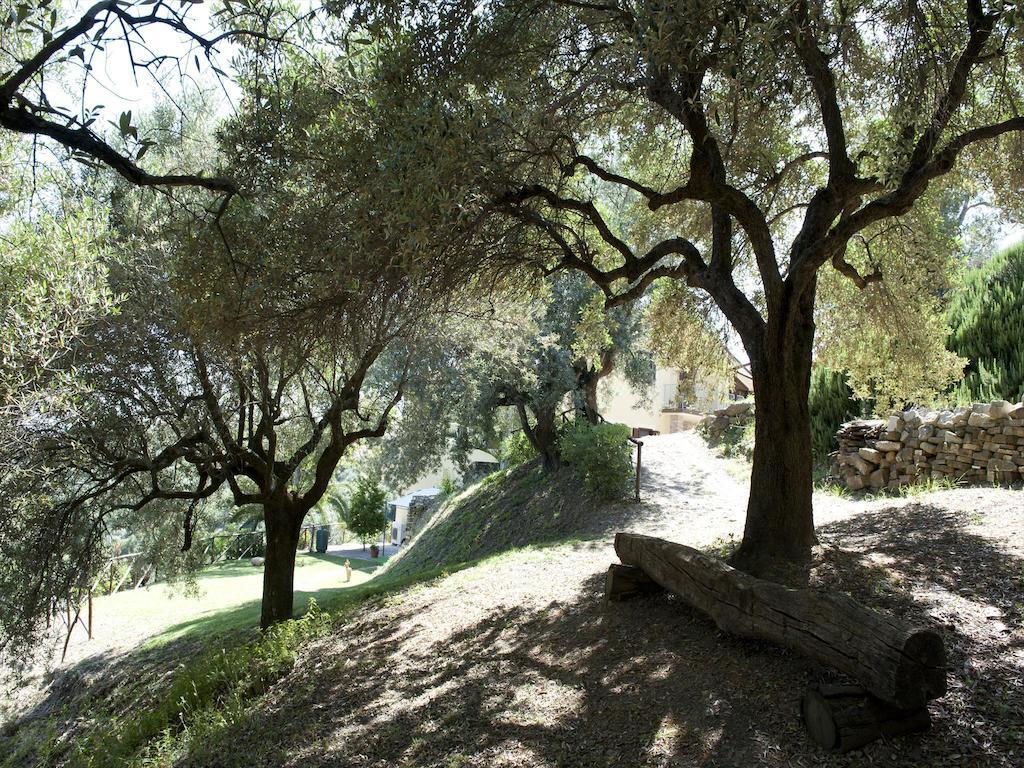 Villa Bernadette San Mauro Cilento Εξωτερικό φωτογραφία