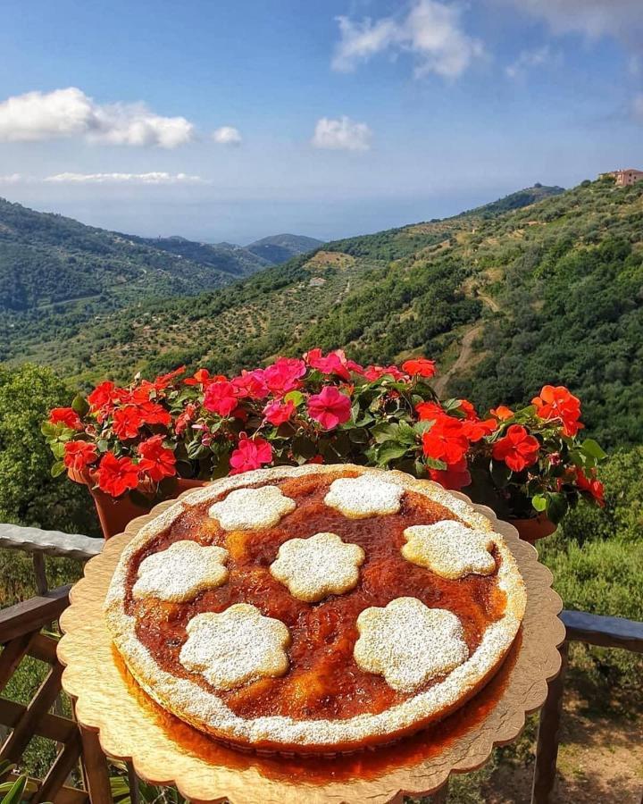 Villa Bernadette San Mauro Cilento Εξωτερικό φωτογραφία